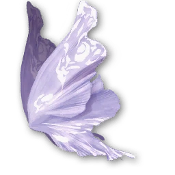 Violet Butterfly Wings (Bound)