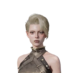NPC (образец)