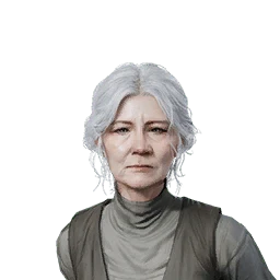 NPC (образец)