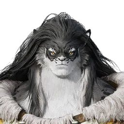 NPC (образец)